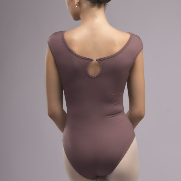 Alternative view of Burgundi Line