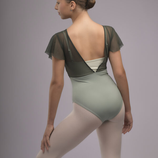 Alternative view of Wild Fern