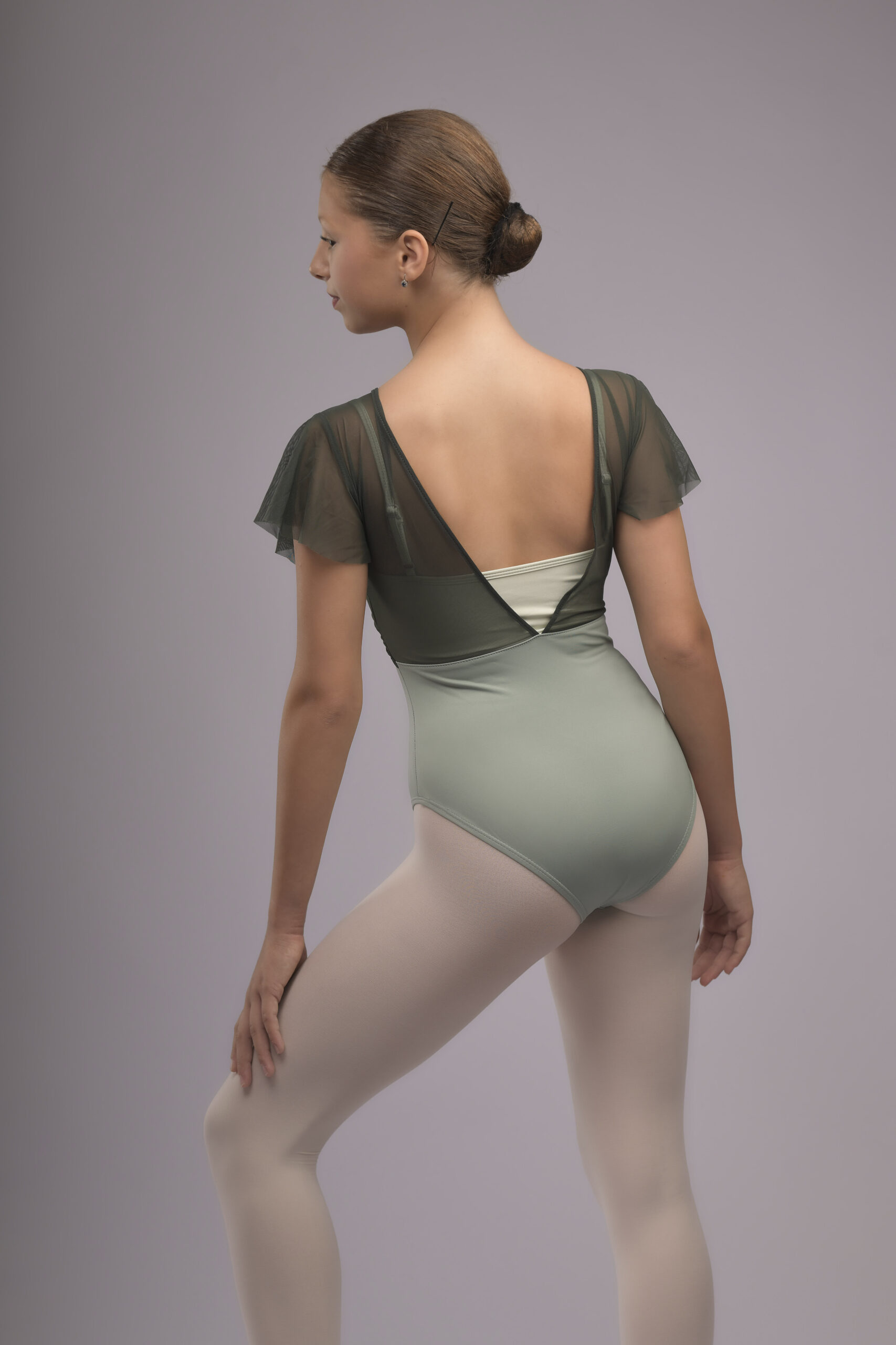 Wild Fern - imagine 2