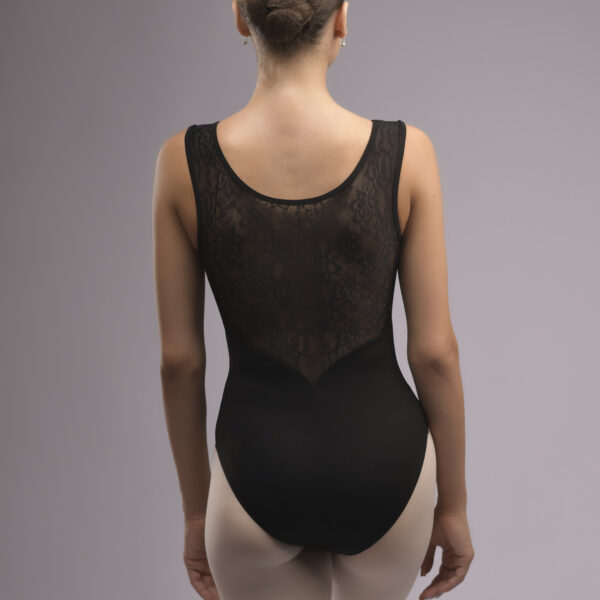 Alternative view of Black Beauty